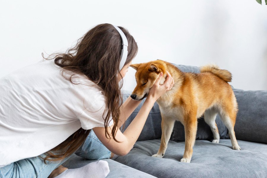 Allergic to Your Dog? Here’s What to Do