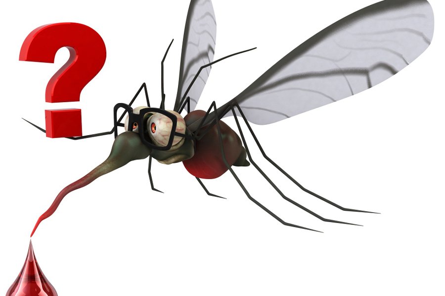 Dengue Fever: Causes, Symptoms, Prevention, and Treatment
