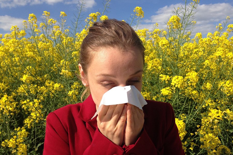 Exploring the Various Types of Allergies: A Comprehensive Guide